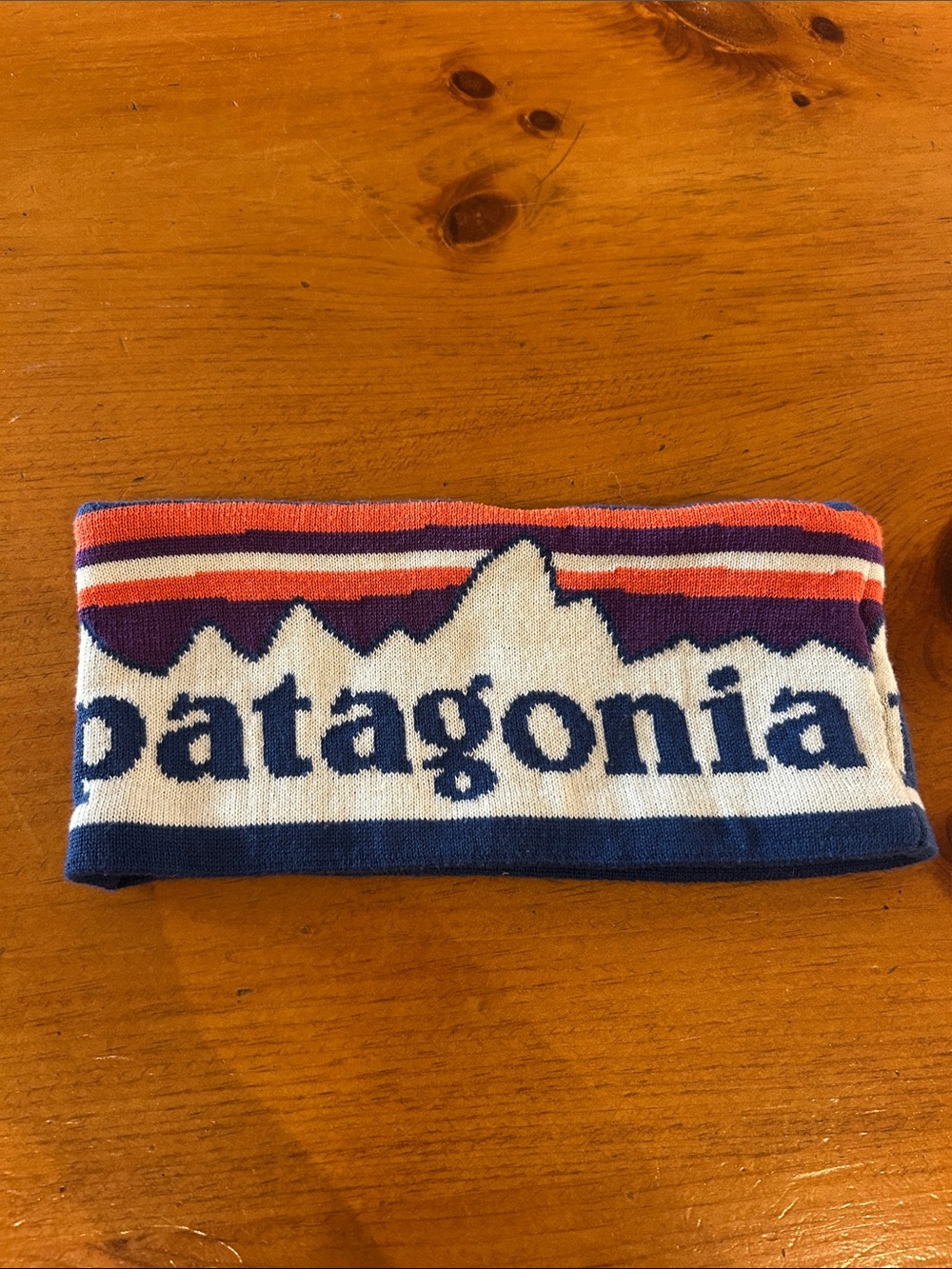 Patagonia Striped Logo Headband - Blue, White, Orange & Purple